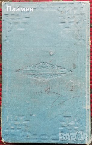 Цель въ естеството и няколко теории /1891/ Андрей Стоевъ Цановъ, снимка 7 - Антикварни и старинни предмети - 35961002