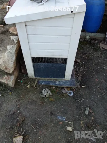 За декоративни гризачи, снимка 2 - За гризачи - 48430236