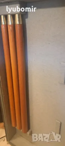 Акустична йоника. , снимка 3 - Китари - 47852525