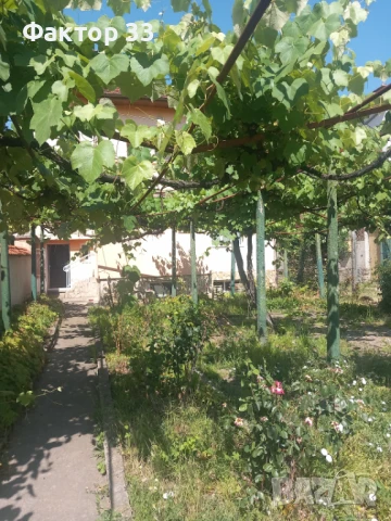 САНИРАНА  КЪЩА с ДВОР и МАГАЗИН  в ЦЕНТЪРА НА гр. КОСТЕНЕЦ, снимка 6 - Къщи - 50561519