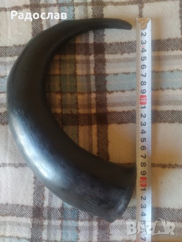 полиран животински рог, снимка 6 - Декорация за дома - 50533803