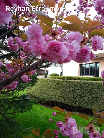 градински услуги , снимка 2 - Други - 53720073