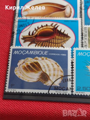 Пощенски марки смесени серий МОРСКИ СВЯТ РИБИ,РАКОВИНИ,МИДИ много красиви 37890, снимка 10 - Филателия - 40445068