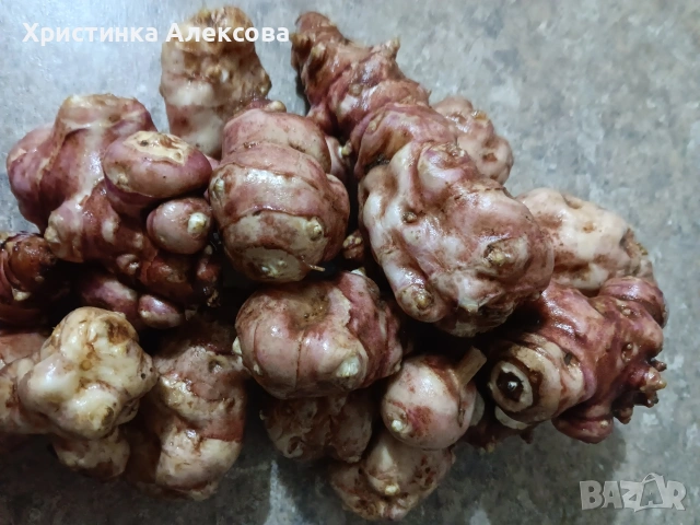 Земна ябълка, снимка 3 - Домашни продукти - 53627007