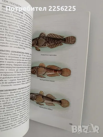 Рибите в България, снимка 4 - Специализирана литература - 56344747