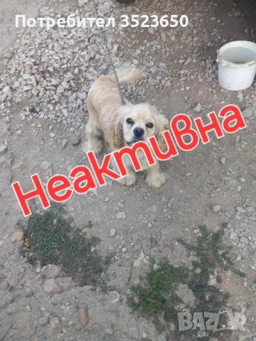 Продава се , снимка 1