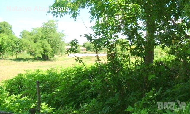 Къща за продажба в Бдинци, Добрич, снимка 3 - Къщи - 53635110