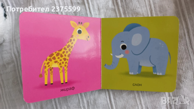 Книжка с твърди страници "Диви животни" на ПАН, снимка 2 - Детски книжки - 52954624
