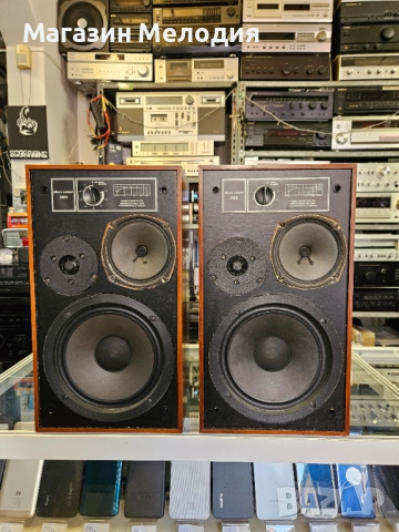 Тонколони Disco - sound 310 R В отлично техническо и визуално състояние., снимка 3 - Тонколони - 52720958