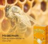 Нозестат разтвор срещу нозематоза при пчелите, снимка 6