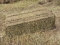Продавам малки бали люцерна сено и слама с.Лозен обл Хасково телефон 0878509034, снимка 2