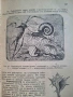 100-годишна антикварна ценност: „Зоология“ (1926) – Изд. Хр. Г. Данов, снимка 13