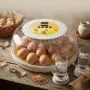 инкубатор за яйца, снимка 8