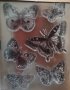6 пеперуди пеперуда силиконов гумен печат декор украса за бисквитки фондан Scrapbooking, снимка 1 - Други - 44405824