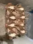Продавам трофей от сръндак, снимка 1