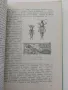 "Болести и неприятели по зеленчуковите култури", снимка 3