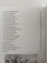 Феноменът пловдивски спорт, снимка 7
