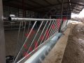 Хранителни решетки за отглеждане на крави и телета, снимка 5