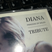 DIANA TRIBUTE X2 CD 0603241716, снимка 2 - CD дискове - 44638680