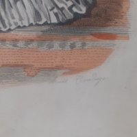Стара цветна антикварна гравюра в рамка подписана - Франция, снимка 4 - Антикварни и старинни предмети - 44165164