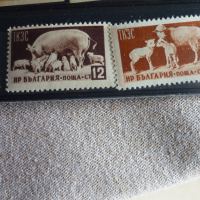 Пощенски марки, снимка 2 - Филателия - 36338689