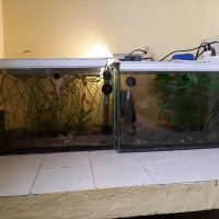 два аквариума с рибки, снимка 2 - Аквариуми - 44549777