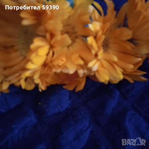 Мехлем от невен, индрише,алое, снимка 1