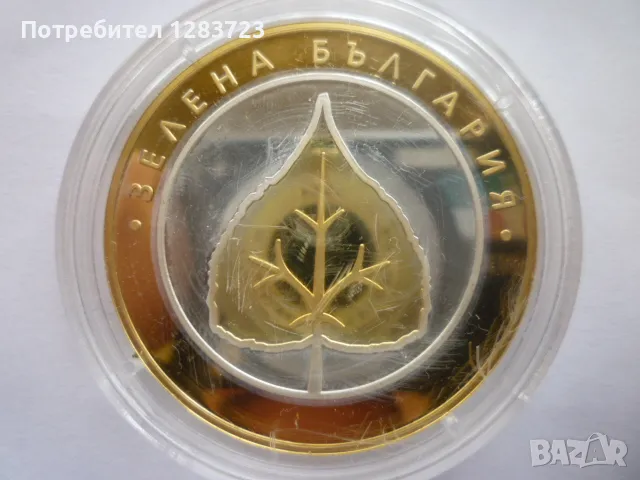 Сребърен Плакет, снимка 1