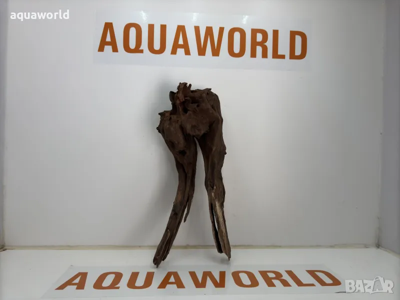 Африканско дърво 2, снимка 1