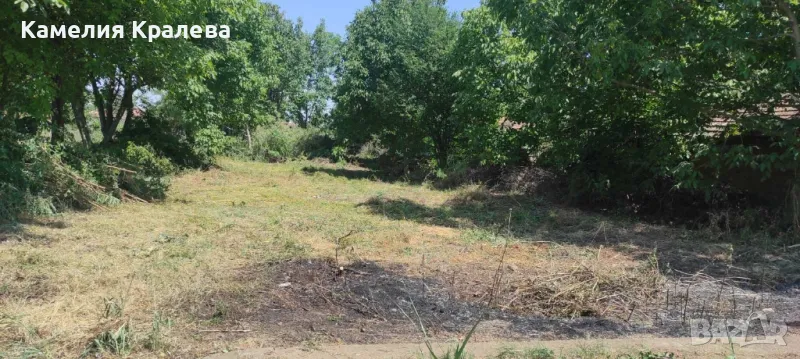 с.Селановци Продавам урегулиран парцел, снимка 1