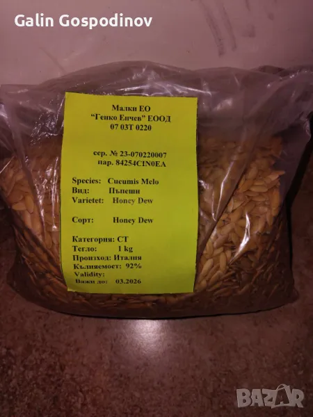 Семена пъпеш Медена роса, снимка 1