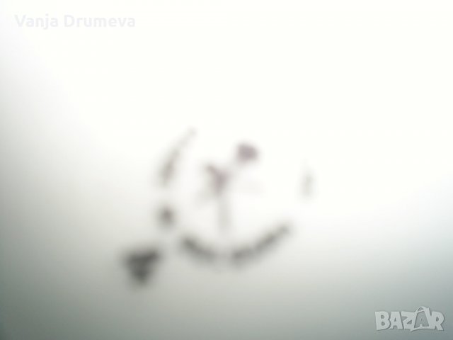 комплект чаши и чинии от стар бг порцелан със златен кант, снимка 8 - Сервизи - 34089363