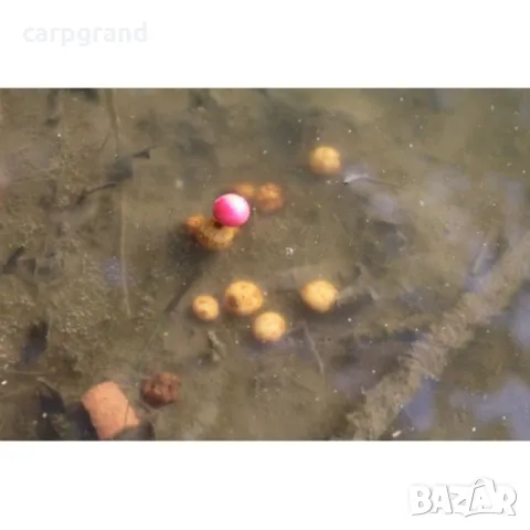 Tигров фъстък Топ Качество 10кг, снимка 4 - Стръв и захранки - 50109049