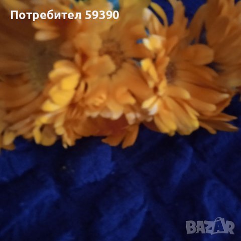 Мехлем от невен, индрише,алое