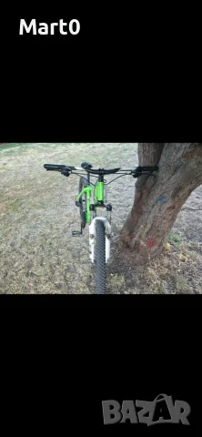 Cross Dexter 26"