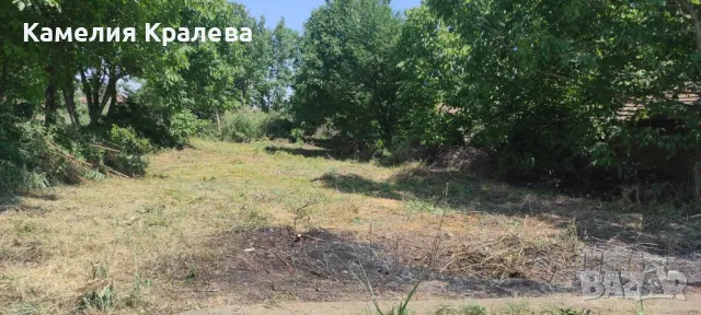 с.Селановци Продавам урегулиран парцел