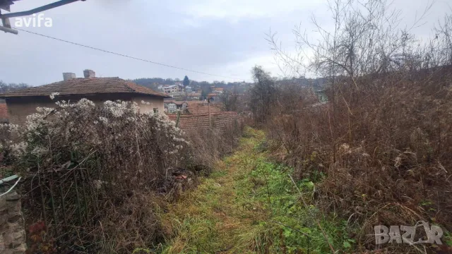 Имот в село Голема Раковица, снимка 5 - Парцели - 49638435