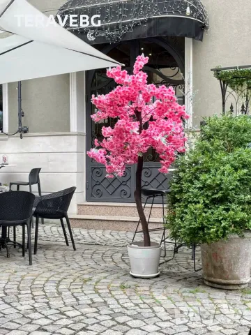 Изкуствено дърво 