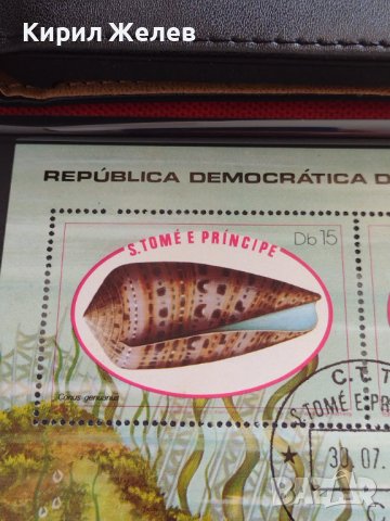 Пощенска блок марка РАКОВИНИ екзотични много красиви за КОЛЕКЦИЯ 10761, снимка 3 - Филателия - 40455014
