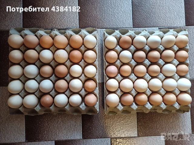 Продавам домашни яйца , снимка 2 - Домашни продукти - 53082872