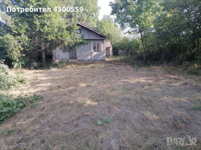 Почистване на изоставени и запустели имоти, снимка 6 - Други услуги - 52468878