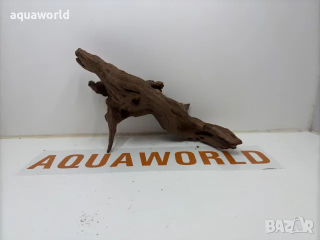 Мангров корен 59