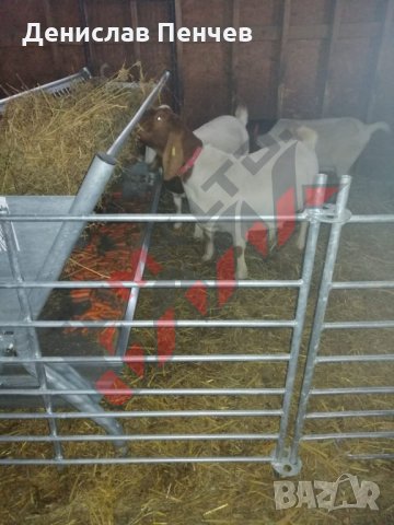 Прегради за овце и кози, снимка 9 - За селскостопански - 34655271