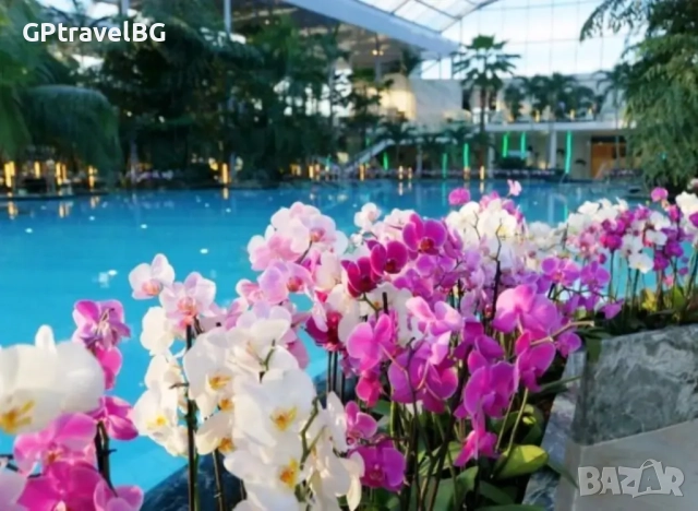 Спа Уикенд в Букурещ, снимка 2 - Автобусни екскурзии - 52663507