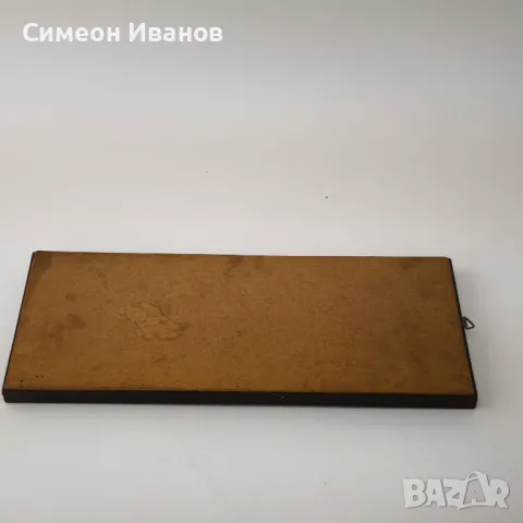 Препарирани пеперуди в рамка от Бразилия #5891, снимка 8 - Други ценни предмети - 50268046