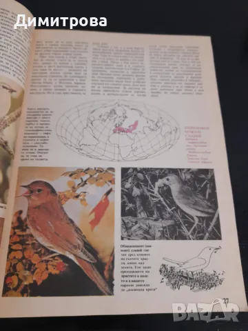 Стара книга Какво знаем за птиците, снимка 2 - Енциклопедии, справочници - 50428294