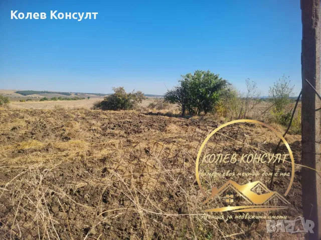 Парцел село Радиево, снимка 2 - Парцели - 56373023