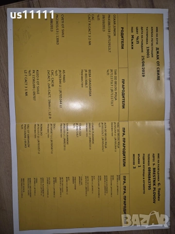 женски ягдтериер , снимка 3 - Ягдтериер - 53744844