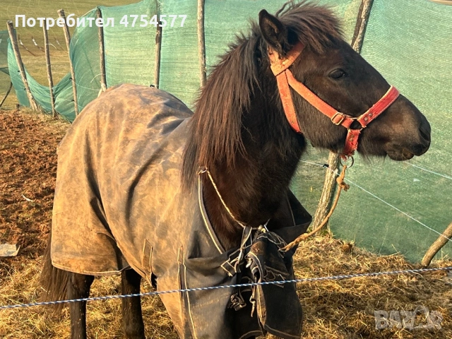 Каракачанска