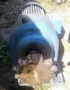 Модул двигател редуктор изходни обороти 24 мин, снимка 1
